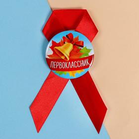 

Набор на 1 сентября ручка + значок, 11 х 19 см