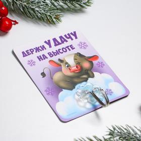 

Магнит с крючком «Держи удачу на высоте», 8 х 10 см