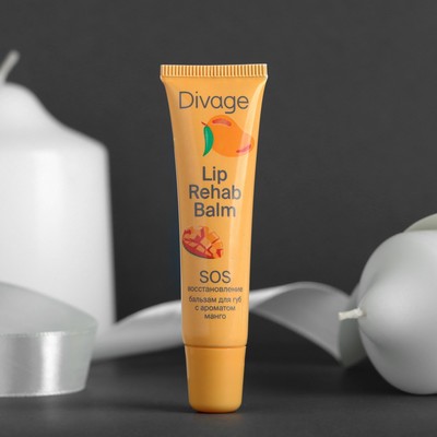 Бальзам для губ Divage Lip Rehab Balm, с ароматом манго - Фото 1