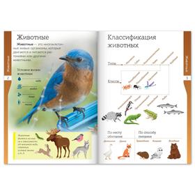 

Книжка-шпаргалка «Окружающий мир. Животные», 16 стр.