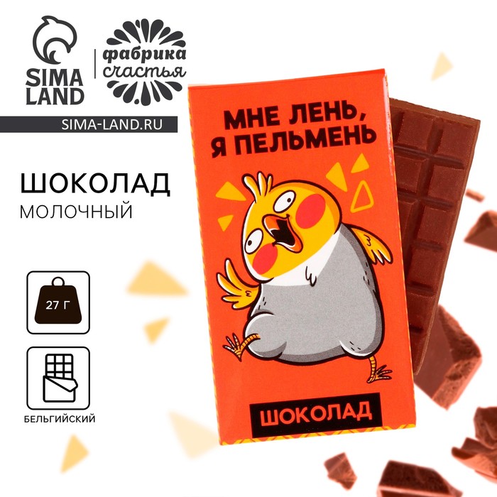 Шоколад молочный «Мне лень, я пельмень»: 27 г. молочный шоколад я бы за тебя вышла 27 г