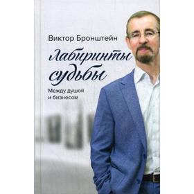 

Лабиринты судьбы: между душой и бизнесом. Бронштейн В.В.