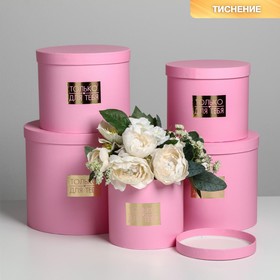 Набор шляпных коробок для цветов 5 в 1, упаковка подарочная, «Нежность», 14 х 13 см - 22 х 19,5 см