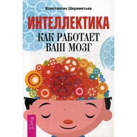 

Интеллектика. Как работает ваш мозг. Шереметьев К.П.