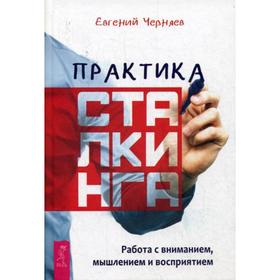 

Практика сталкинга. Работа с вниманием, мышлением и восприятием. Черняев Е.