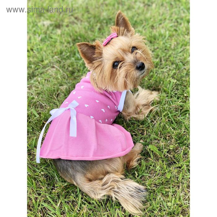 фото Платье osso для собак «маленькая кокетка», размер 22 (дс 21-23 см), розовое osso fashion