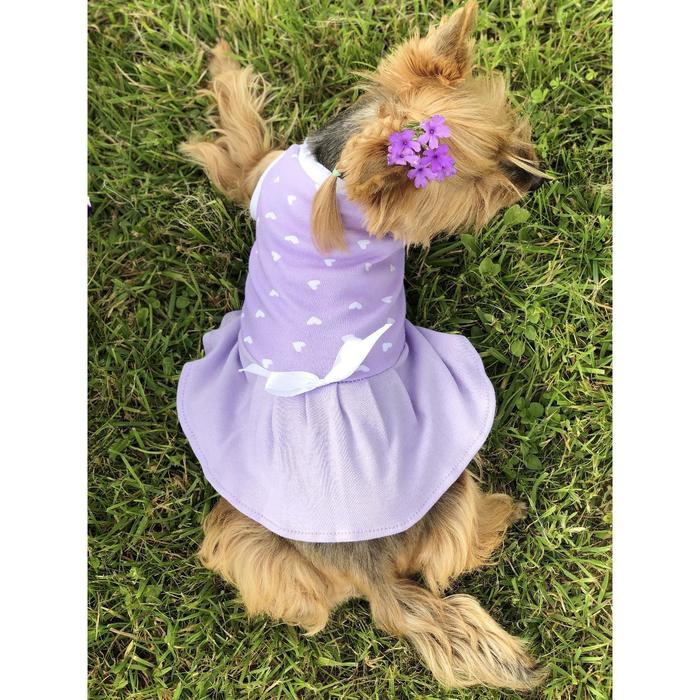 фото Платье osso для собак «маленькая кокетка», размер 20 (дс 19-21 см), сиреневое osso fashion