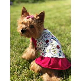 Платье Osso для собак «Красотка», размер 22 (ДС 21-23 см), расцветка природа Ош