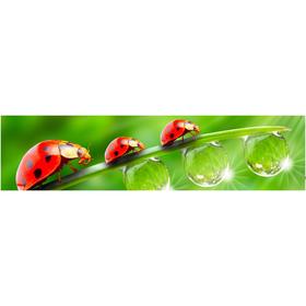 

Кухонный фартук МДФ, AG 09 2440х610х4 мм