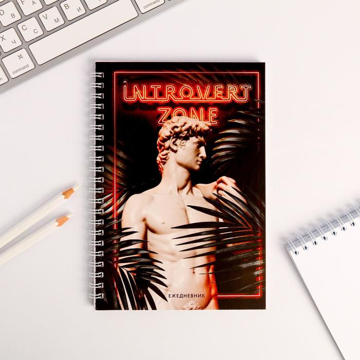 

Ежедневник Introvert zone: А5, 60 листов
