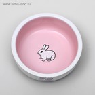 Миска керамическая для кроликов, 200 мл, 10 х 3,7 см, бело-розовая