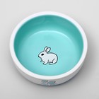 Миска керамическая для кроликов, 10 х 3,7 см, бело-зеленая