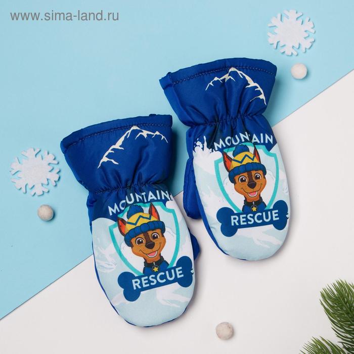 фото Рукавицы (варежки) зимние paw patrol "mountain" р-р 13 (3-4 года), синий
