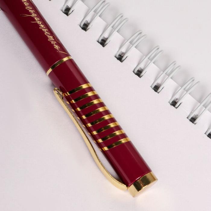 Ручка подарочная "Лучший воспитатель", металл