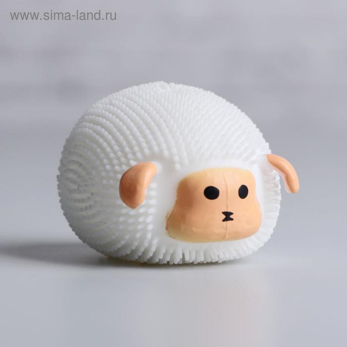 

Ёжка «Барашек», цвета МИКС