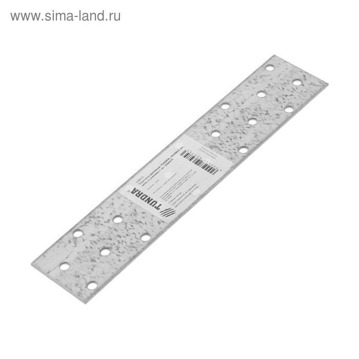 

Пластина крепёжная ТУНДРА, 40х200х2 мм, цинк, в упаковке 1 шт.