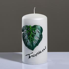 Свеча - цилиндр 'Tropical', 6×11,5 см, жемчужный белый Ош