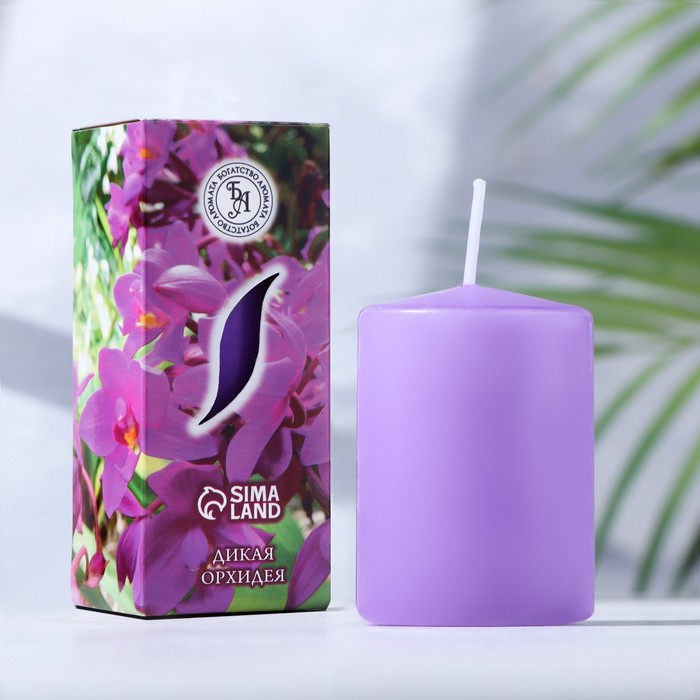 цена Свеча ароматическая Дикая орхидея, 4×6 см, в коробке