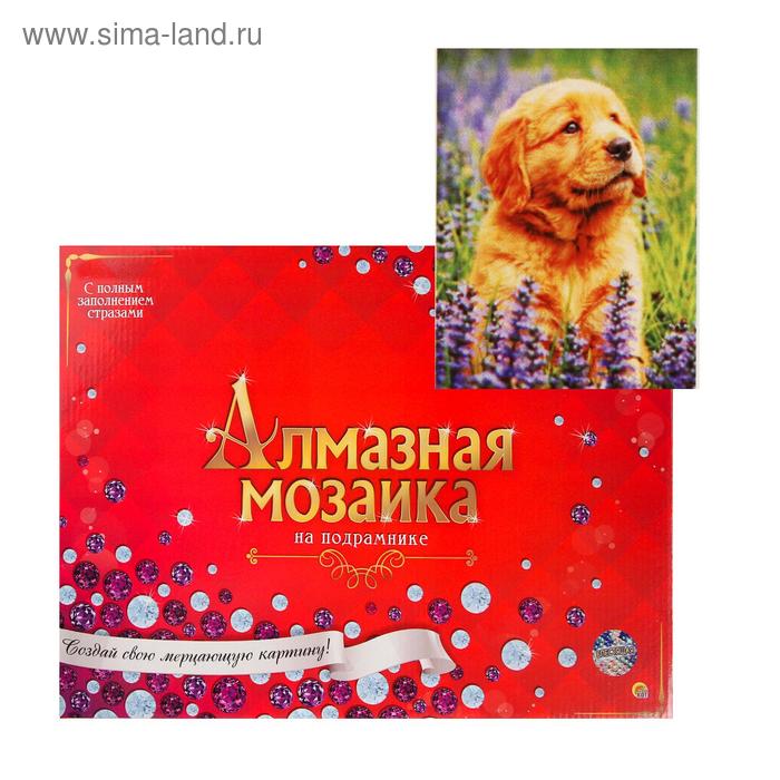 

Алмазная мозаика 30х40см, c подрамником, с полным заполнением, 26 цветов «Щеночек лабрадора в поле»