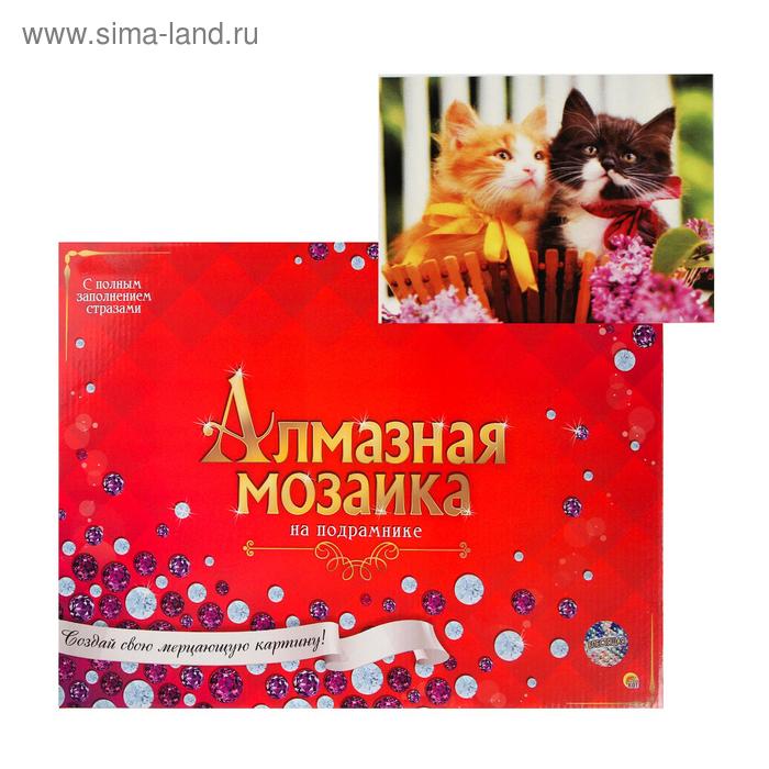 

Алмазная мозаика 30х40 см, с подрамником, с полным заполнением «Котики в ярких бантиках»