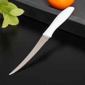 Нож кухонный для цитрусовых «Ария», лезвие 12 см, цвет МИКС Ош