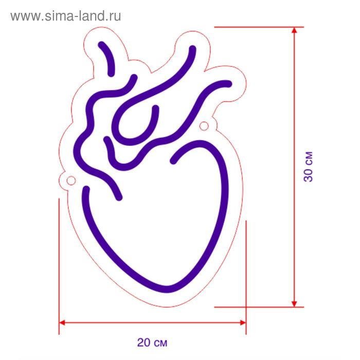 

Неоновая вывеска «Анатомическое сердце» 20 × 30 см, 12 В