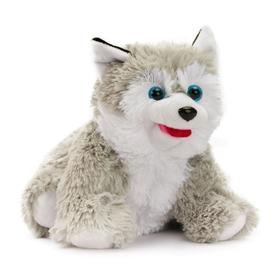 

Мягкая игрушка «Собака Хаски», 20 см