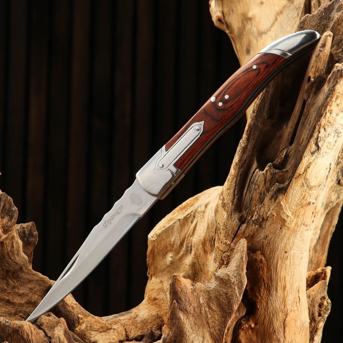 фото Нож складной "француз" сталь - 40х13, рукоять - дерево, 23 см витязь