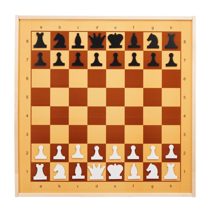 фото Демонстрационные шахматы и шашки 61 х 61 см, на магнитной доске, король 6.4 см десятое королевство
