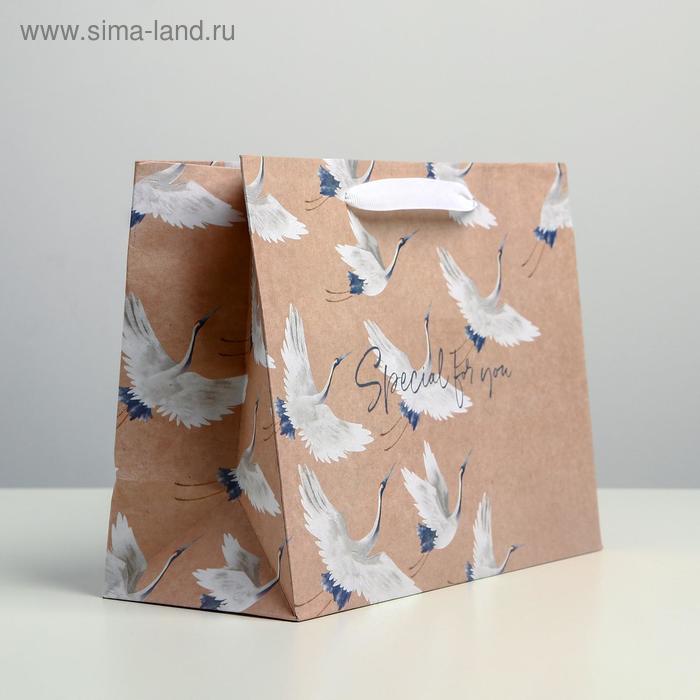 

Пакет крафтовый горизонтальный «Special for you», MS 23 х 18 х 10 см