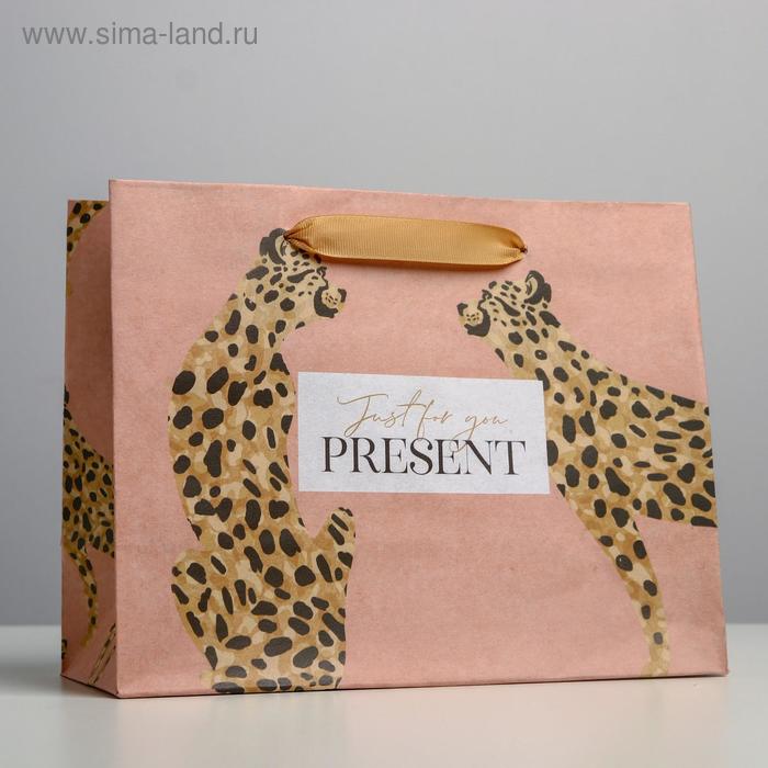 Пакет подарочный крафтовый горизонтальный, упаковка, «Леопард», MS 23 х 18 х 10 см пакет подарочный леопард в цветах 18 х 22 х 10 см