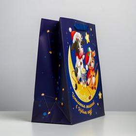

Пакет ламинированный вертикальный «Исполнения желаний», ML 23 × 27 × 11,5 см