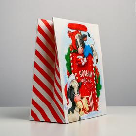 

Пакет ламинированный вертикальный «Сюрприз для тебя», ML 23 × 27 × 11,5 см