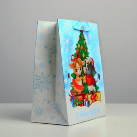 

Пакет ламинированный вертикальный «Время волшебства», MS 18 × 23 × 10 см