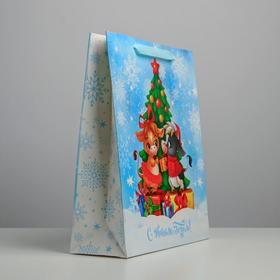 

Пакет ламинированный вертикальный «Время волшебства», M 26 × 30 × 9 см