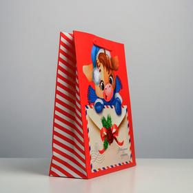 

Пакет ламинированный вертикальный «Сюрприз», M 26 × 30 × 9 см
