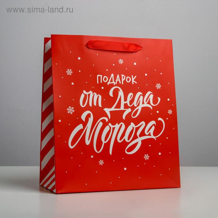 Пакет ламинированный вертикальный «Подарок от Деда Мороза», ML 23 × 27 × 11,5 см