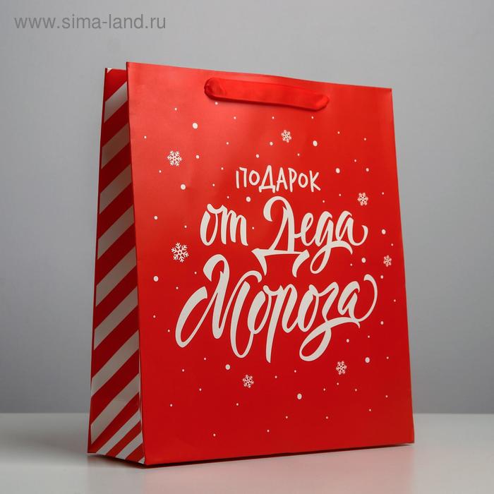 Пакет ламинированный вертикальный «Подарок от Деда Мороза», M 26 × 30 × 9 см пакет ламинированный вертикальный подарок от деда мороза ms 18 × 23 × 10 см