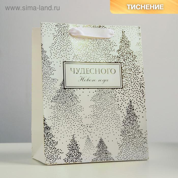 

Пакет ламинированный вертикальный «Чудесного праздника», MS 18 × 23 × 10 см
