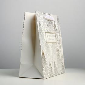 

Пакет ламинированный вертикальный «Чудесного праздника», ML 23 × 27 × 11,5 см