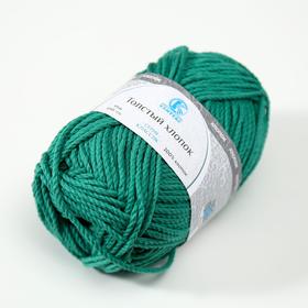 

Пряжа "Толстый хлопок" 100 % хлопок 95м/100гр (109 яркий зелёный)