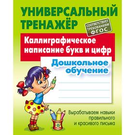 

Каллиграфическое написание букв и цифр. Петренко С.В.