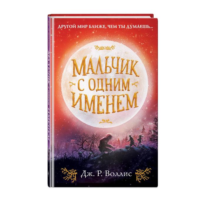 

Мальчик с одним именем. Воллис Дж.Р.