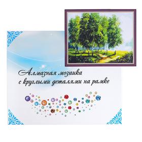 

Алмазная мозаика с подрамником, полное заполнение 40×50 см «Берёзы»