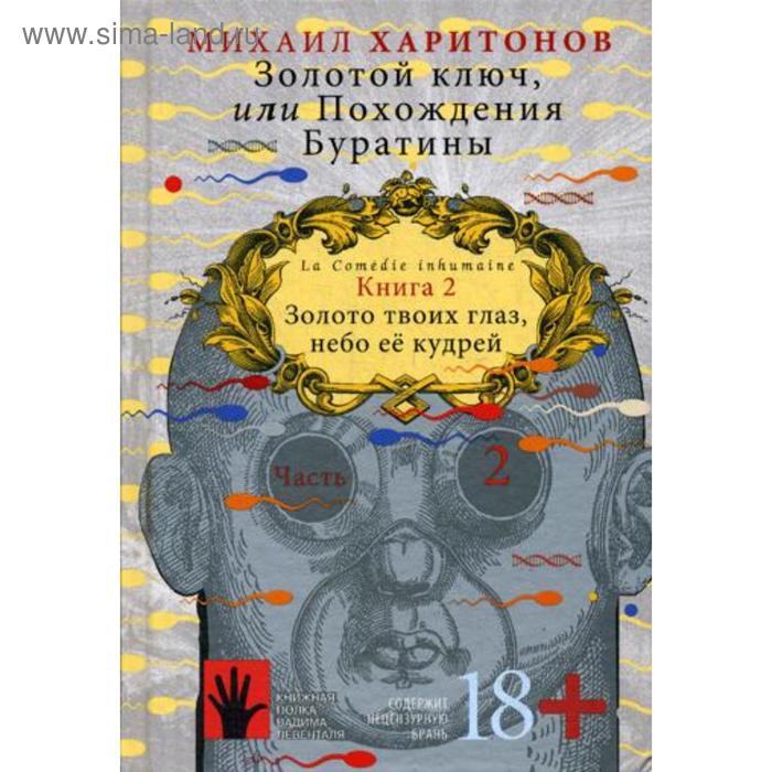 фото Золотой ключ, или похождения буратины. кн. 2. ч. 2: роман. харитонов м. городец-флюид