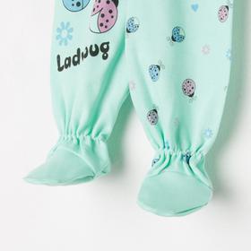 

Ползунки Summer bugs, цвет микс, рост 62-68 см