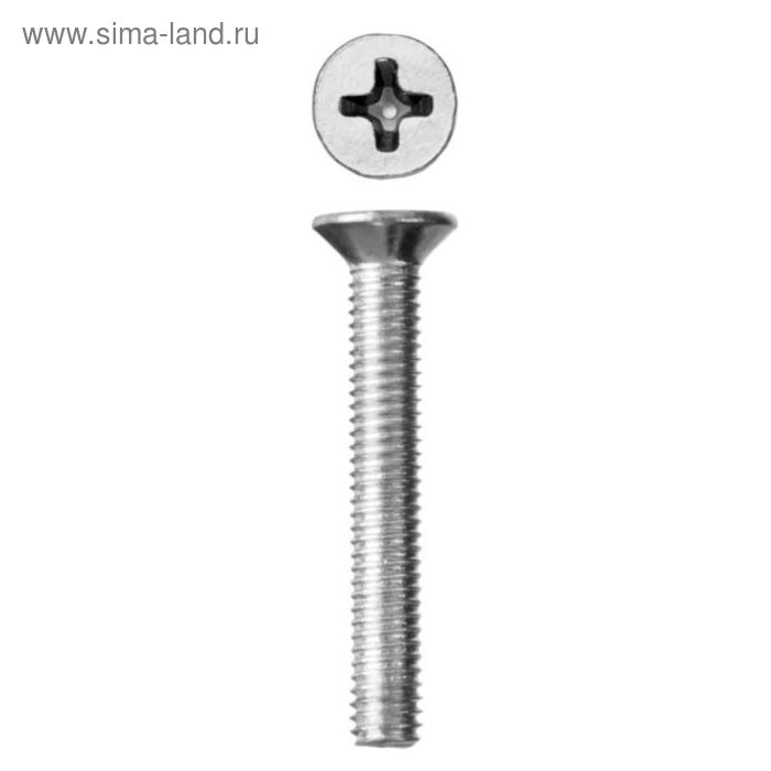 

Винт ЗУБР, потайной, оцинкованный, DIN965, М6х30 мм, 5 кг