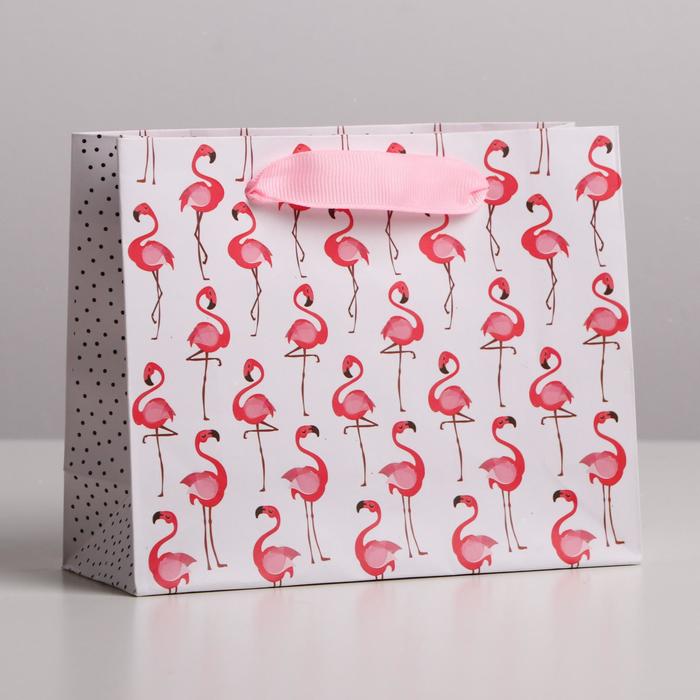 Пакет подарочный ламинированный горизонтальный, упаковка, «Фламинго», S 15 х 12 х 5,5 см пакет ламинированный горизонтальный beautiful s 12 х 15 х 5 5 см