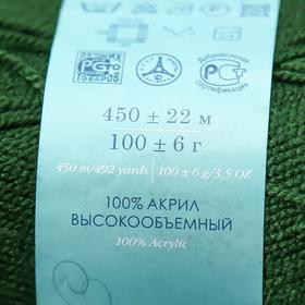 Пряжа "Бисерная" 100% акрил 450м/100гр (10-Тайга) от Сима-ленд