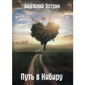 

Путь в Нибиру. Эстрин А.